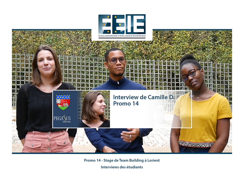 Interview de Camille D.